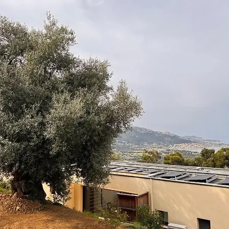 L'alivu Apprt 2 Apartment
